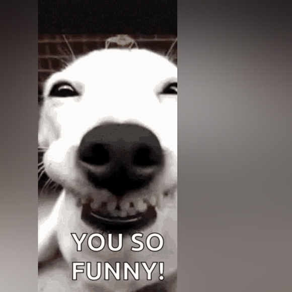 HAPPY BIRTHDAY JAXIJAY 🎂 - Picture 5 of 9